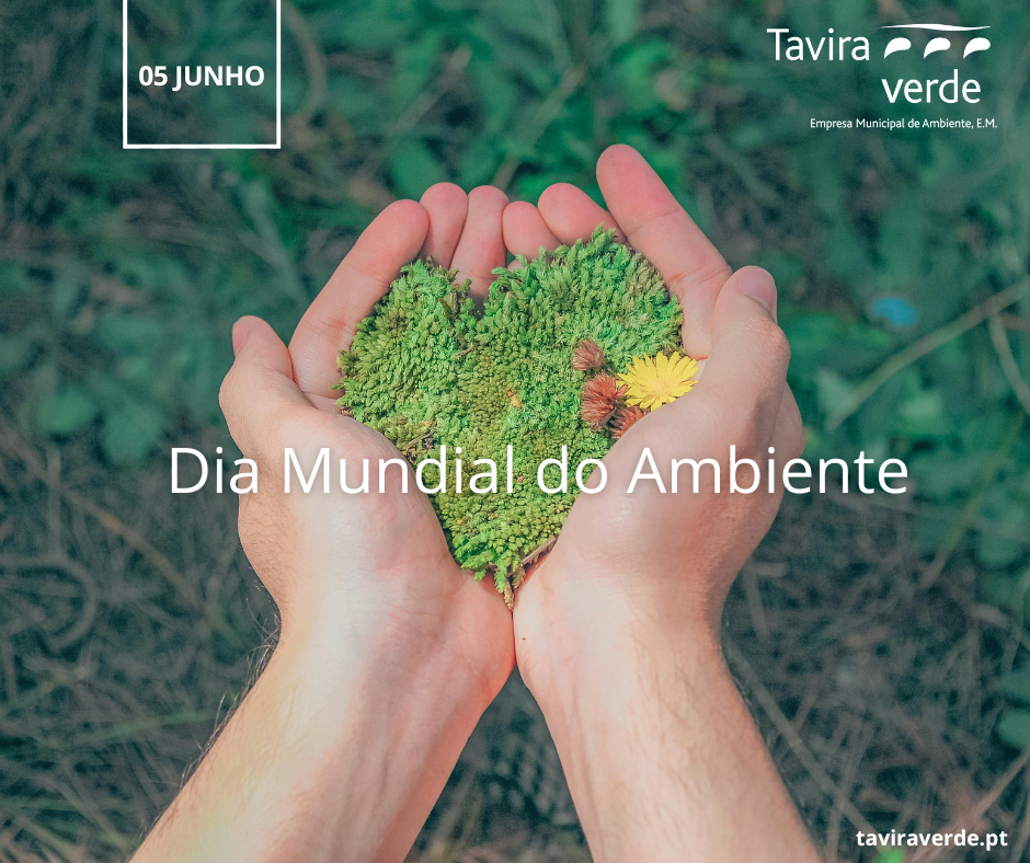 Imagem referente ao dia Mundial do Ambiente